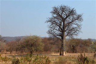 Μαλάουι