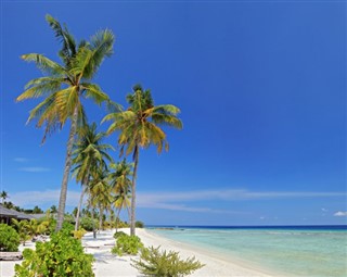 Maldivi