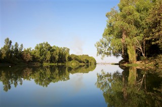 مالی