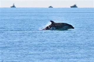 マーシャル諸島