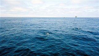 マーシャル諸島