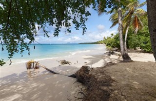 Martinique