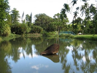 மார்டினிக்