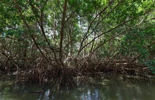 மார்டினிக்