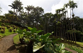 Martinique