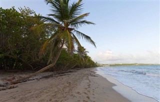 Martinique