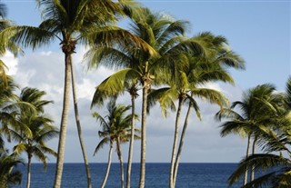 Martinique