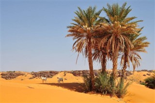 Mauritanie