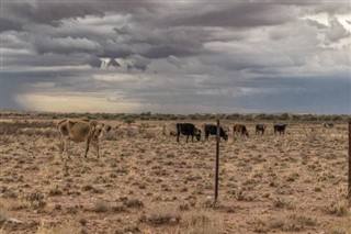 Mauritanija