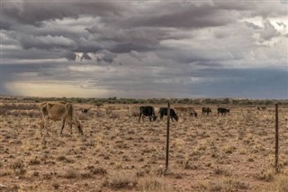 Mauritanië