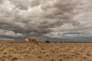 Mauritanië