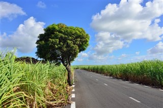 毛里求斯