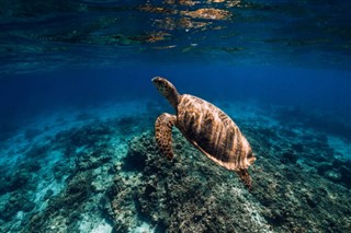 Mayotte