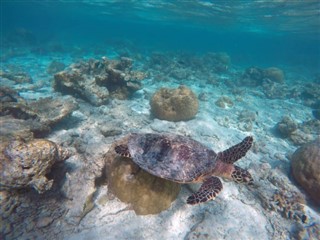 マヨット島