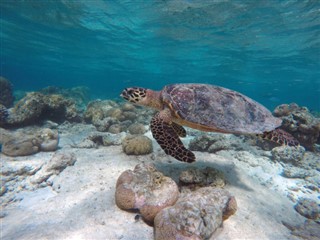 Mayotte