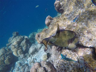 Mayotte