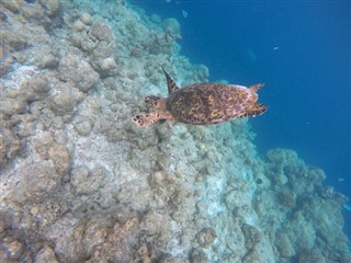 Mayotte