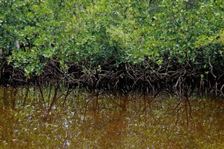 Mayotte