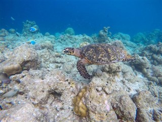 Mayotte