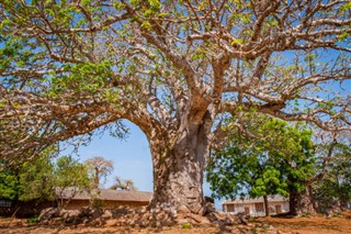 Mayotte