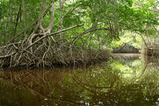 মক্সিকো