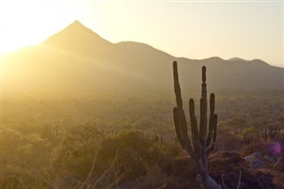 México