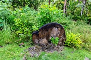 ไมโครนีเซีย