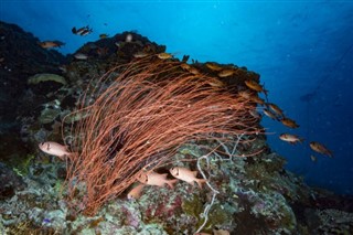 Micronesia