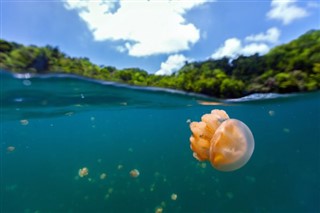 Micronesia