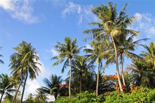 மைக்ரோனேஷியா