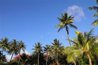 Mikronezija
