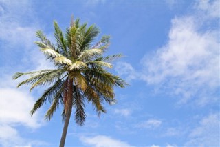 Micronesia