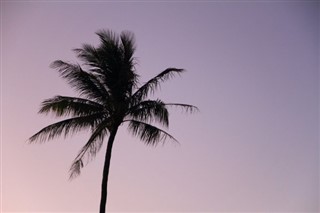 மைக்ரோனேஷியா