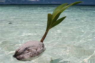 Micronesia