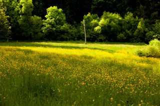 মোল্দাভিয়া