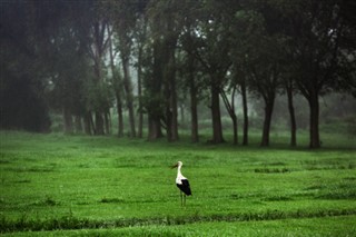 Moldavië