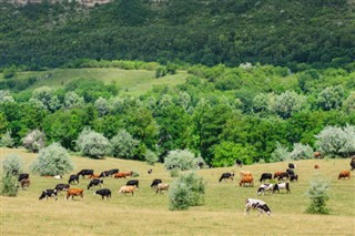 Moldavien