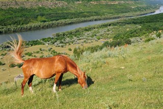 Молдавија