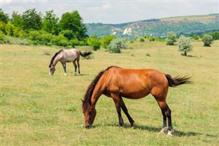 Moldavija