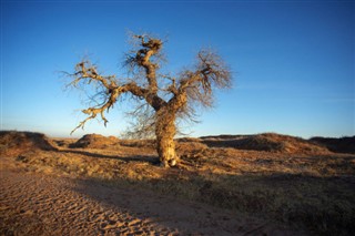 Mongolia