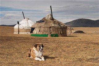 Mongolie