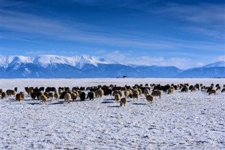 Mongolia