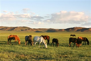 Mongolia
