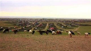 Mongolsko