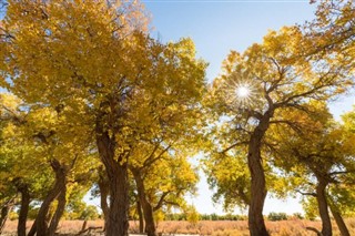 Монголија