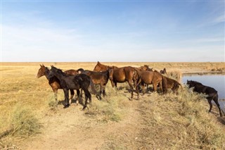 Mongolia