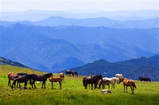 Mongolia