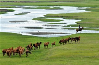 Mongolei