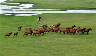 Moğolistan