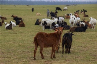 Mongolia